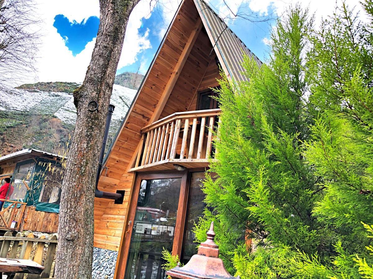 Tabiat Bungalows Otel Çamlıhemşin Buitenkant foto